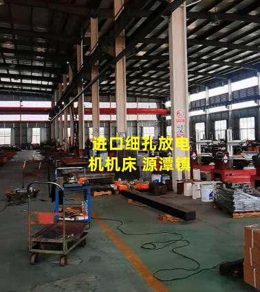 进口细孔放电机机床 源潭镇